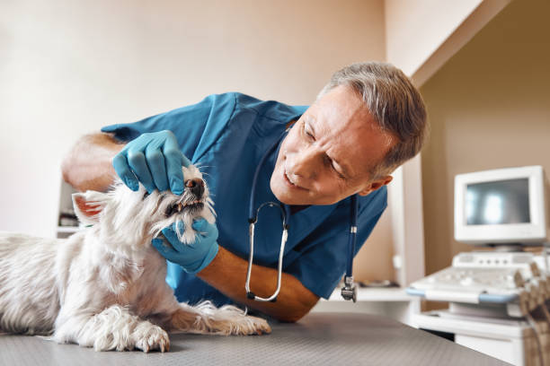 Best Emergency Root Canal Treatment in Fort Payne, AL